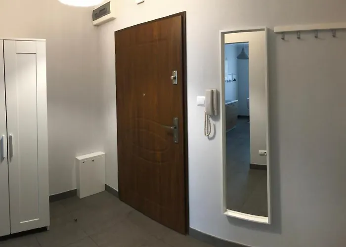 Apartment Smialego 9 *